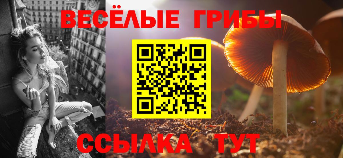 Псилоцибиновые грибы Cubensis Нарткала
